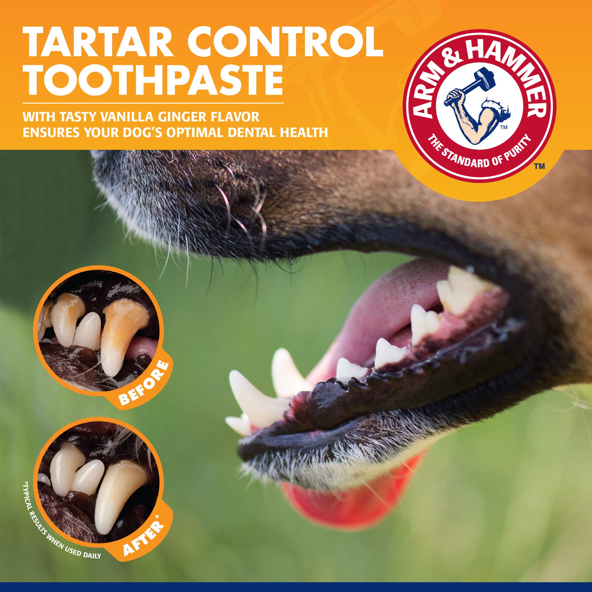 Foto 3 | Kit De Entrenamiento Dental Arm & Hammer Para Mascotas Y Control Del Sarro - Venta Internacional.
