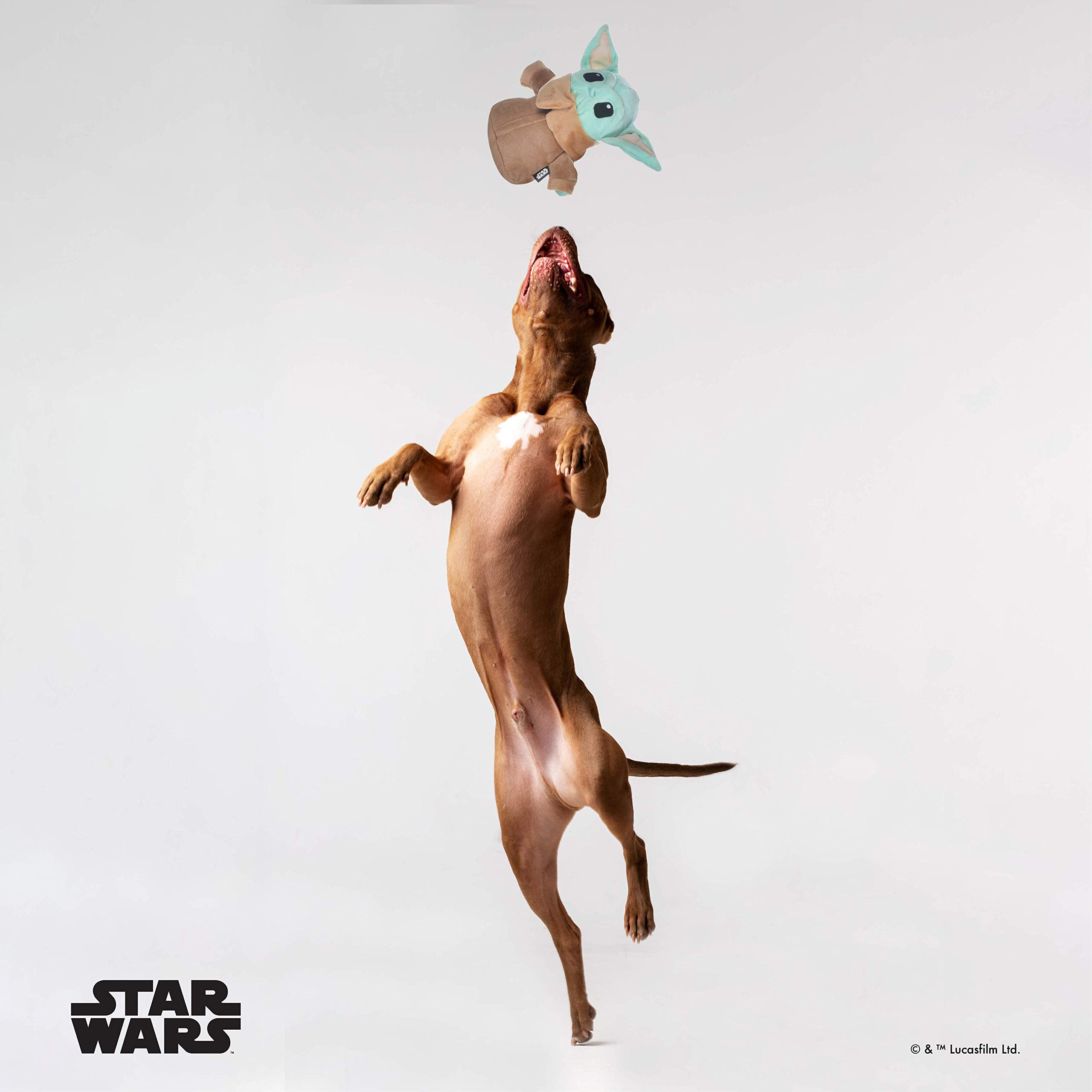 Foto 6 pulgar | Figura De Peluche Para Perros Star Wars Mandalorian The Child, 23 Cm - Venta Internacional.