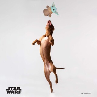Foto 5 | Figura De Peluche Para Perros Star Wars Mandalorian The Child, 23 Cm - Venta Internacional.