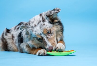 Foto 4 | Juguete Masticable Para Perros Hartz Chew 'n Clean Dental Duo, Grande, Paquete De 3 - Venta Internacional.