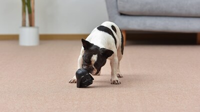 Foto 4 | Juguete Masticable Para Perros Star Wars, Cabeza De Goma De Darth Vader, 10 Cm - Venta Internacional.