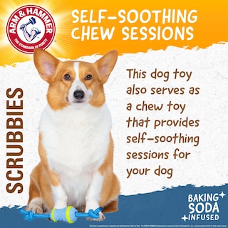 Foto 3 | Juguete Masticable Arm & Hammer Para Mascotas Throw N' Tug Dental Para Perros Grandes - Venta Internacional.