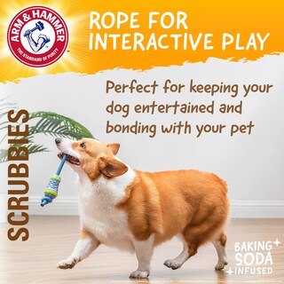 Foto 4 | Juguete Masticable Arm & Hammer Para Mascotas Throw N' Tug Dental Para Perros Grandes - Venta Internacional.