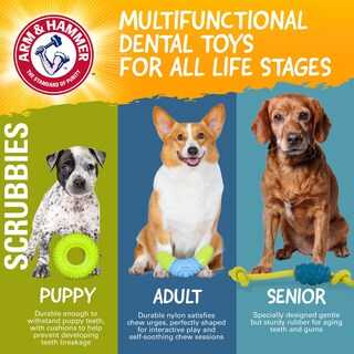 Foto 6 | Juguete Masticable Arm & Hammer Para Mascotas Throw N' Tug Dental Para Perros Grandes - Venta Internacional.