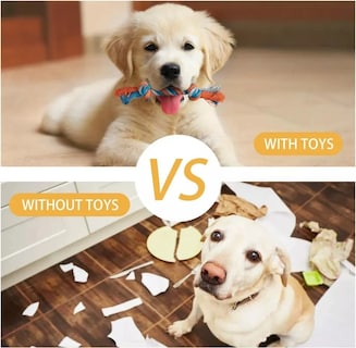 Foto 5 | 7 Piezas Juguetes De Cuerda Para Perro Lab.g Colores