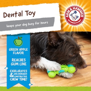 Foto 2 | Juguete Dental Para Perros Arm & Hammer Nubbies Duality Bone Para Mascotas - Venta Internacional.