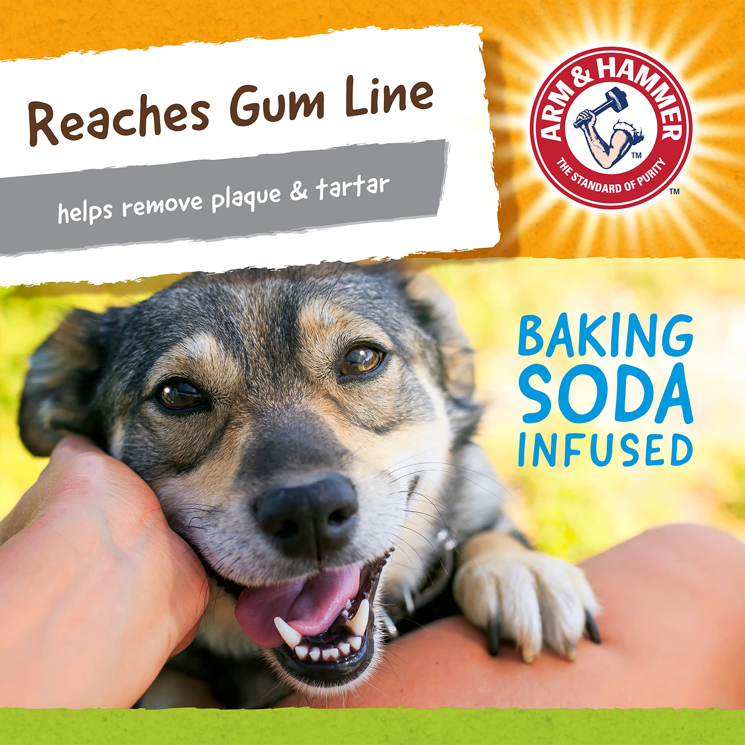 Foto 5 | Juguete Dental Para Perros Arm & Hammer Nubbies Duality Bone Para Mascotas - Venta Internacional.