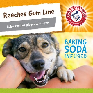 Foto 5 | Juguete Dental Para Perros Arm & Hammer Nubbies Duality Bone Para Mascotas - Venta Internacional.