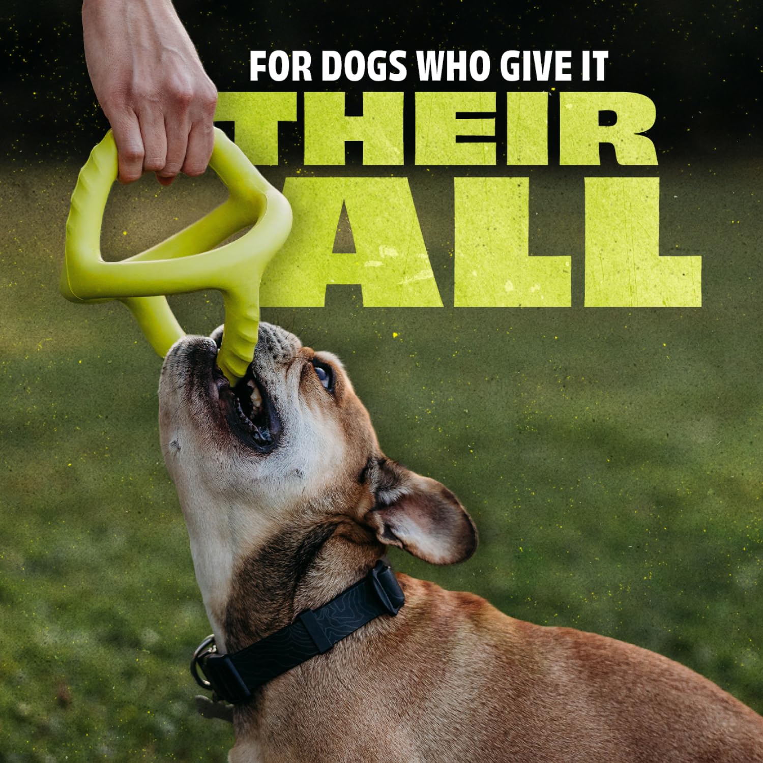 Foto 2 | Juguete Para Perros Benebone Natural Rubber Tug Interactive - Venta Internacional.