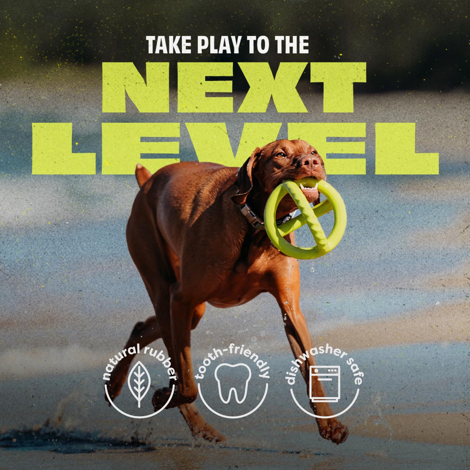 Foto 4 | Juguete Para Perros Benebone Natural Rubber Tug Interactive - Venta Internacional.