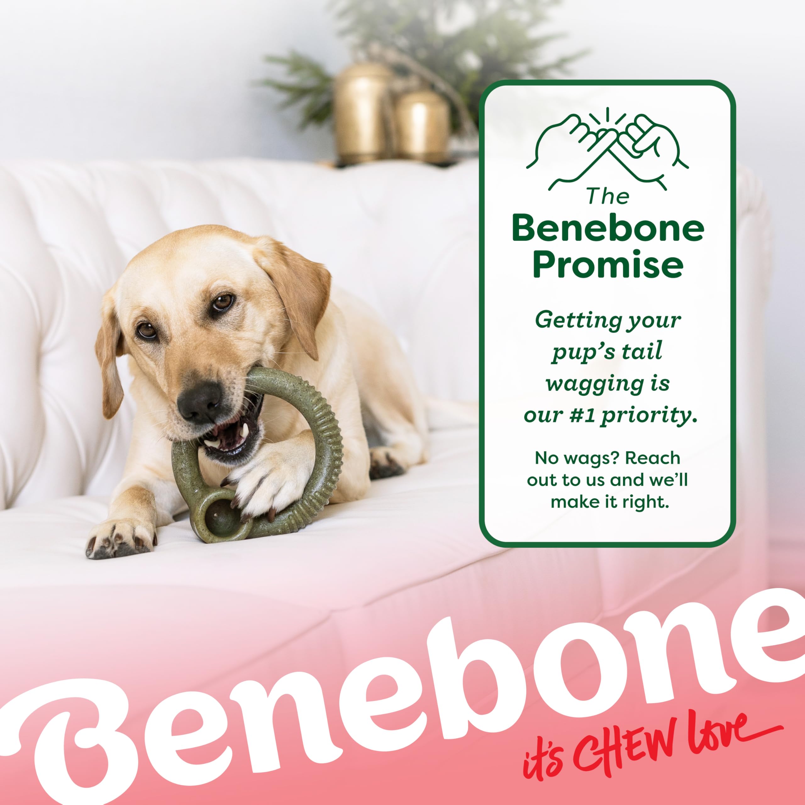 Foto 6 | Anillo Chew Toy Benebone Con Menta Para Masticadores Agresivos - Venta Internacional.