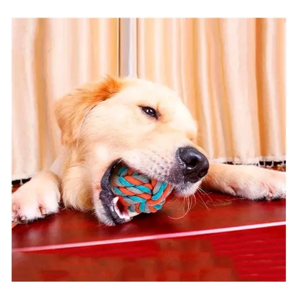 Foto 2 | Juguetes Para Perro De 10 Piezas- Juguete Lab.g, Colores
