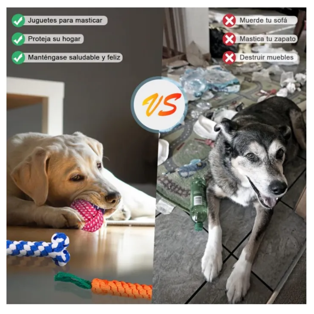 Foto 4 pulgar | Juguetes Para Perro De 10 Piezas- Juguete Lab.g, Colores