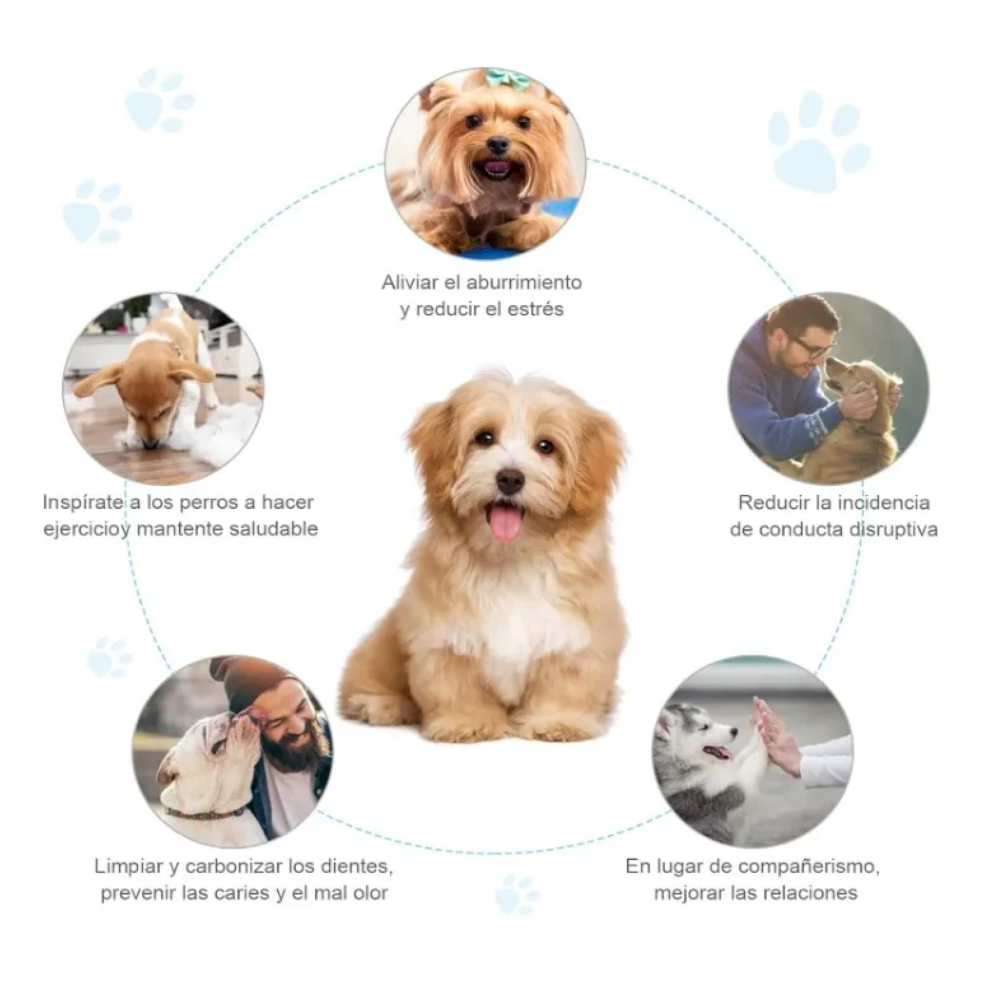 Foto 4 | Juguetes Para Perro De 10 Piezas- Juguete Belug, Colores