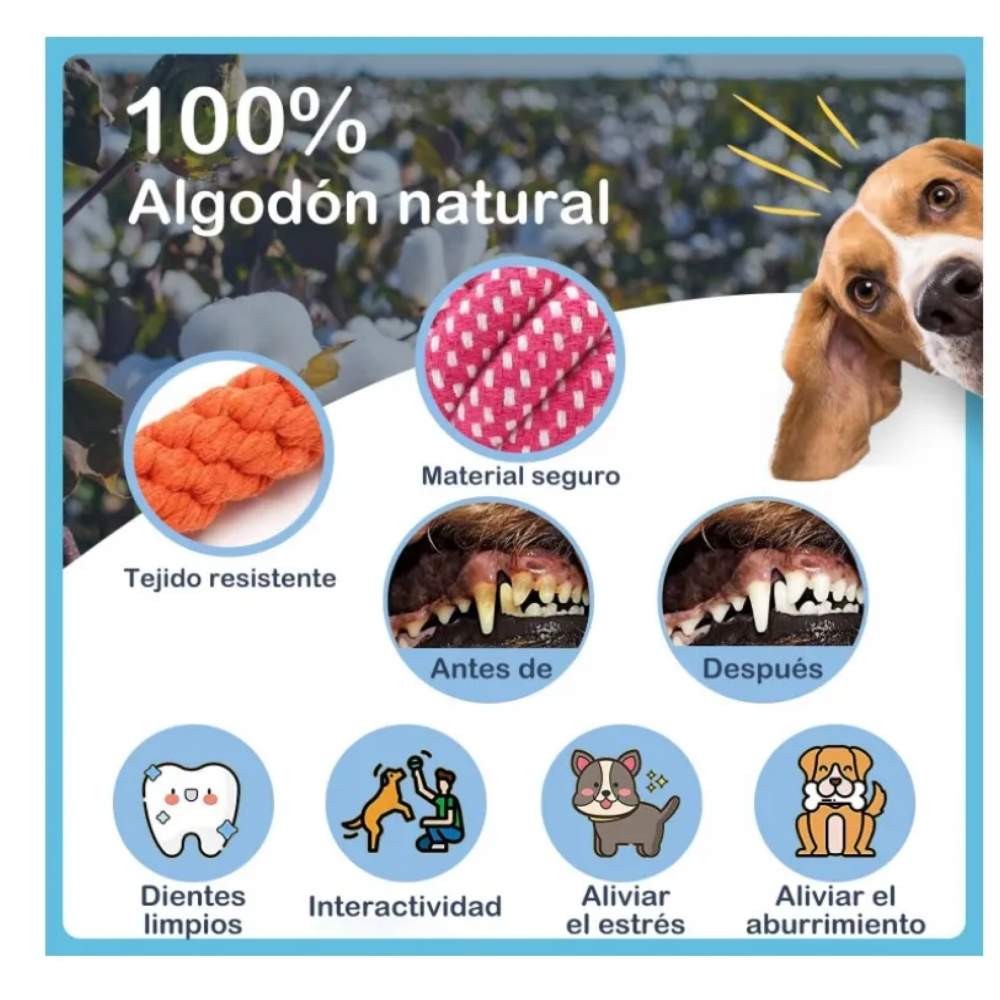 Foto 5 | Juguetes Para Perro De 10 Piezas- Juguete Belug, Colores