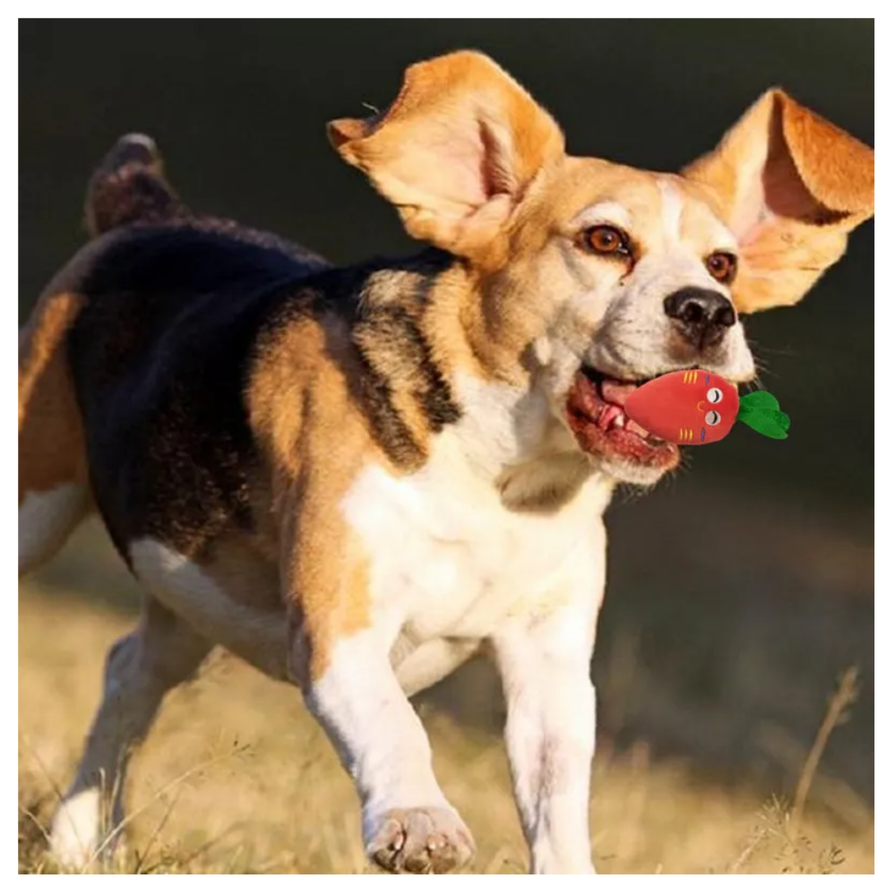 Foto 5 pulgar | Juguetes De Cuerda Para Perro Morder Paquete De 7 Piezas Belug, Multicolor