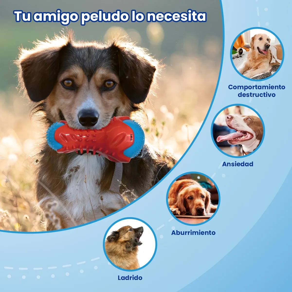 Foto 4 pulgar | Juguete Lab.g Para Perros Higiene Dientes Rojo Azul