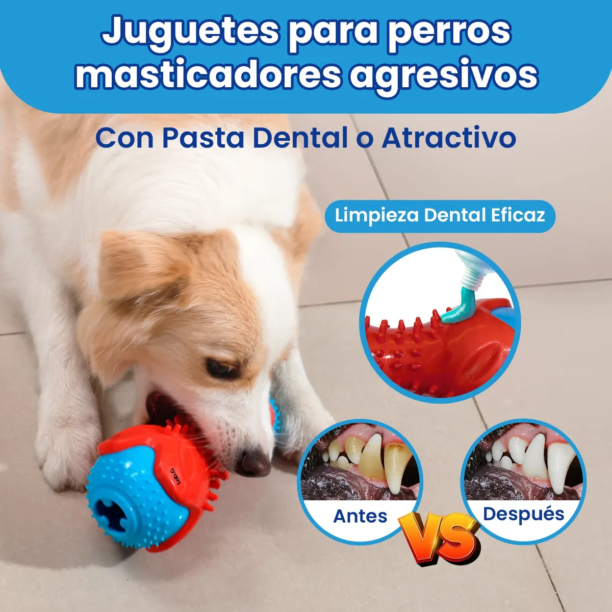 Foto 5 pulgar | Juguete Lab.g Para Perros Higiene Dientes Rojo Azul