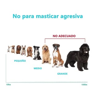 Foto 3 | 12 Kits Resistant Cuerda Perros Lab.g, Colores