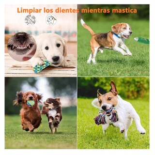 Foto 4 | 12 Kits Resistant Cuerda Perros Lab.g, Colores
