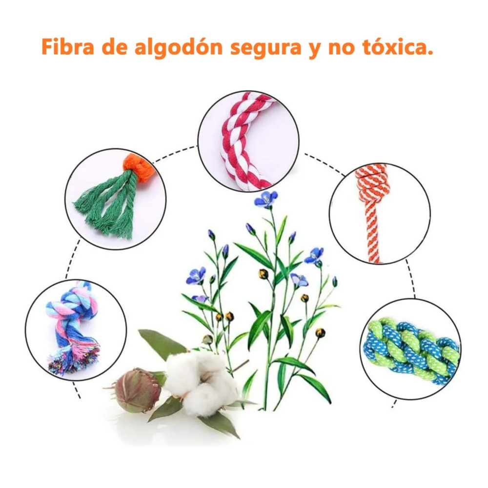 Foto 6 pulgar | 12 Kits Resistant Cuerda Perros Lab.g, Colores
