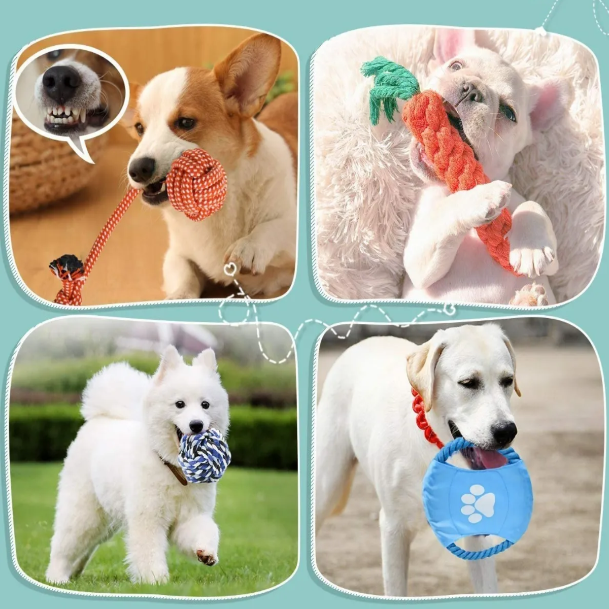 Foto 2 | Juguetes De Cuerda Para Mascotas Morder Paquete De 10 Piezas Lab.g Multicolor