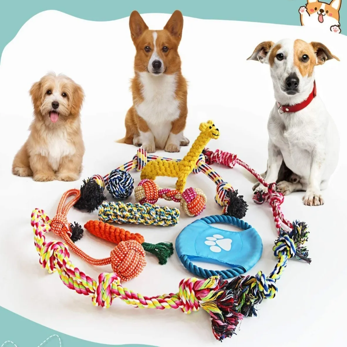 Foto 4 pulgar | Juguetes De Cuerda Para Mascotas Morder Paquete De 10 Piezas Lab.g Multicolor