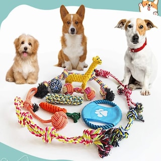 Foto 3 | Juguetes De Cuerda Para Mascotas Morder Paquete De 10 Piezas Lab.g Multicolor
