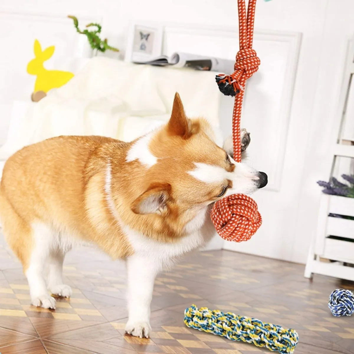 Foto 5 | Juguetes De Cuerda Para Mascotas Morder Paquete De 10 Piezas Lab.g Multicolor