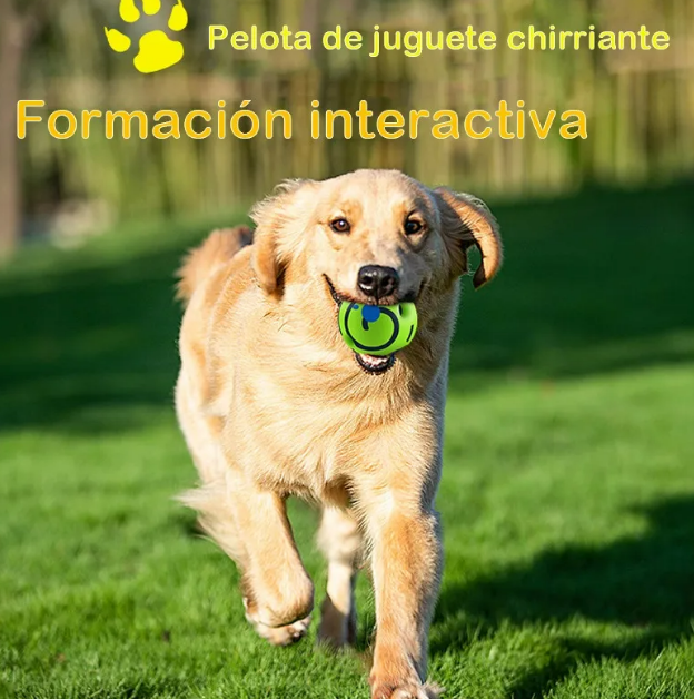 Foto 3 | Pelota Interactiva Xtellar Para Perros  Ecológica Y Resistente Con Sonido