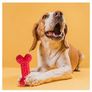 Foto 4 | Juguete De Caucho Hueso Belug Rojo