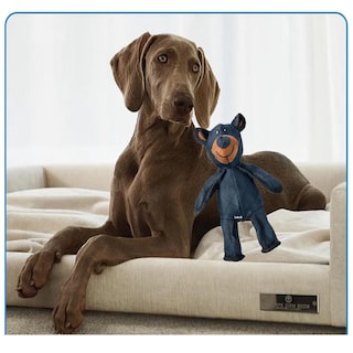 Foto 2 | Juguetes Para Perros Oso Robusto Lab.g Azul Marino