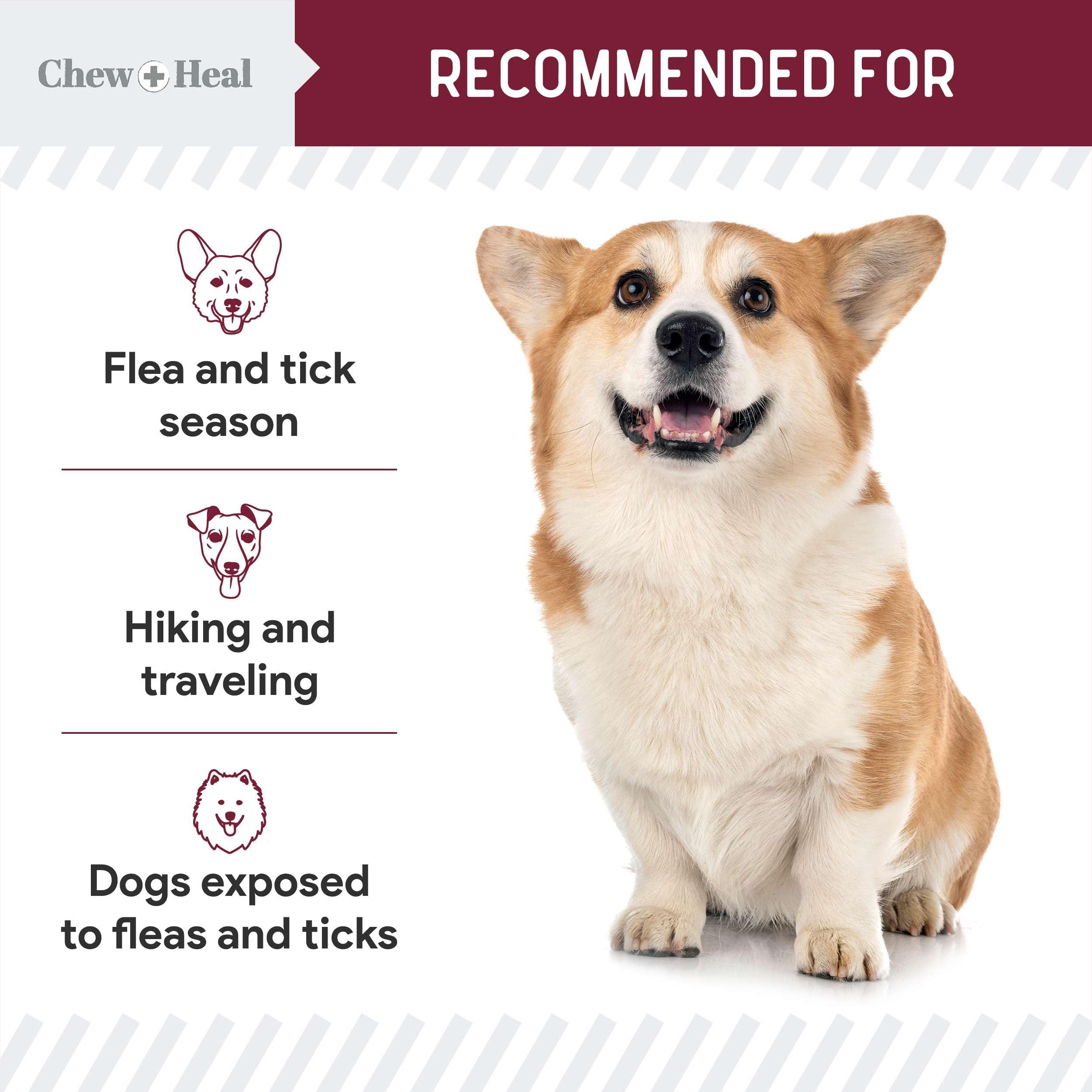 Foto 5 pulgar | Masticable Para Prevenir Pulgas Y Garrapatas Para Perros Chew + Heal 180 - Venta Internacional.