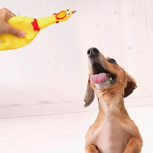 Foto 4 | Pack 3 Pollos Xtellar Goma Amarillos  Juguetes Duraderos Para Perros