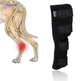 Foto 1 | Dog Apparel Huoguo Dog Hock Joint Wrap, Neopreno, Talla S - Venta Internacional.