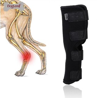 Foto 2 | Dog Apparel Huoguo Dog Hock Joint Wrap, Neopreno, Talla S - Venta Internacional.