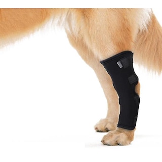 Foto 4 | Dog Apparel Huoguo Dog Hock Joint Wrap, Neopreno, Talla S - Venta Internacional.