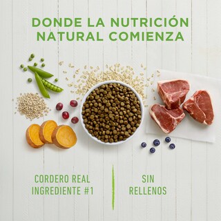 Foto 3 | Instinct Be Natural Alimento Para Perro Con Carne De Cordero Croquetas Recubierta De Carne Real 11kg