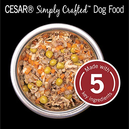 Foto 7 | Comida Húmeda Para Perros Cesar Simply Crafted, Carne De Res O Pollo - Venta Internacional.