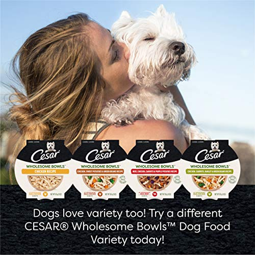 Foto 7 | Comida Húmeda Para Perros Cesar Wholesome Bowls Para Adultos, Paquete Variado De 180 G ( - Venta Internacional.