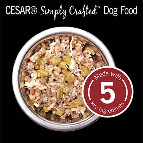 Foto 8 pulgar | Comida Húmeda Para Perros Cesar Simply Crafted Beef, 38 Ml (x10) - Venta Internacional.