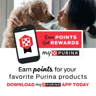 Foto 5 | Gums Naturales Purina Friskies Para Gatos Con Salmón, 600 Ml - Venta Internacional.