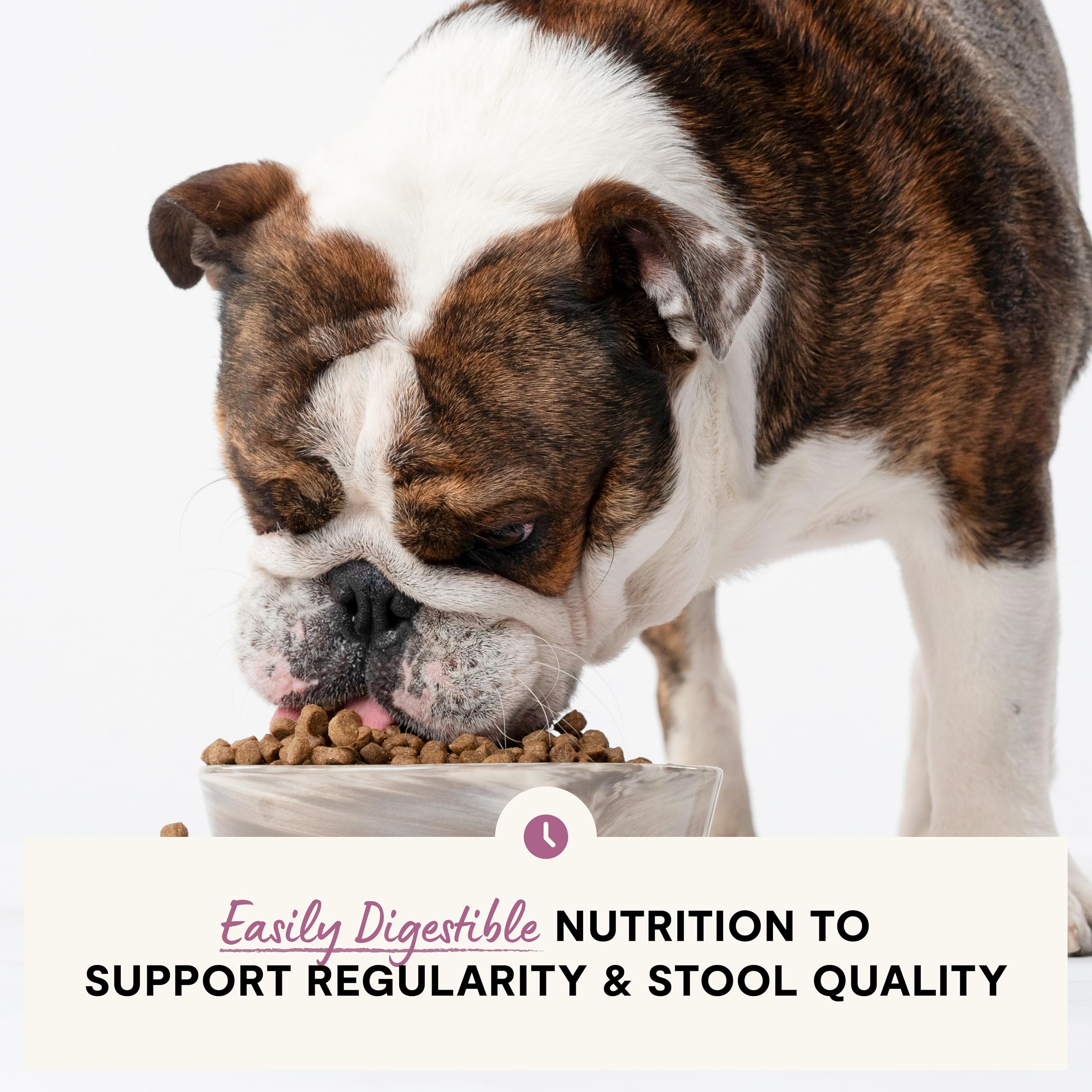 Foto 4 pulgar | Alimento Para Perros Open Farm Digestive Health, 10 Kg, Abadejo Silvestre De Alaska - Venta Internacional.