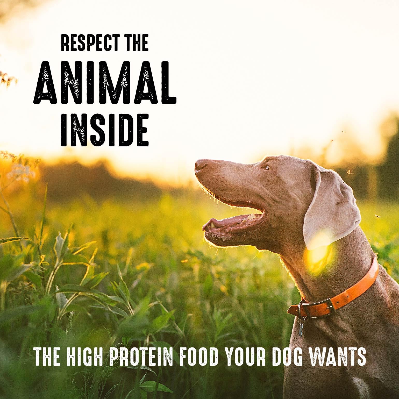 Foto 7 pulgar | Alimento Para Perros Crave Sin Cereales Con Alto Contenido De Proteínas Y Cordero 13,6 Kg - Venta Internacional.