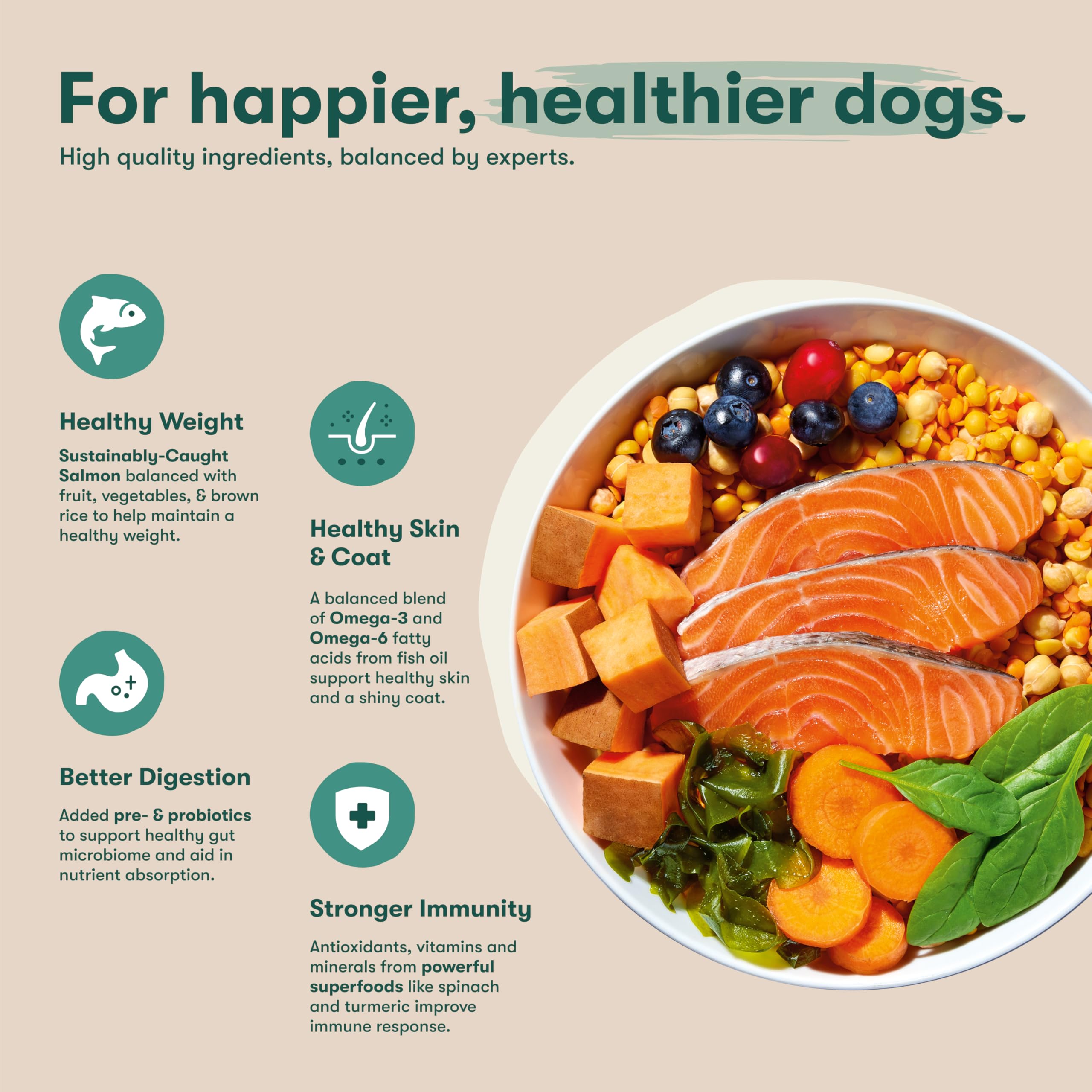 Foto 4 pulgar | Alimento Para Perros Jinx Premium, Sin Cereales, Salmón Real Seco, 1,8 Kg - Venta Internacional.
