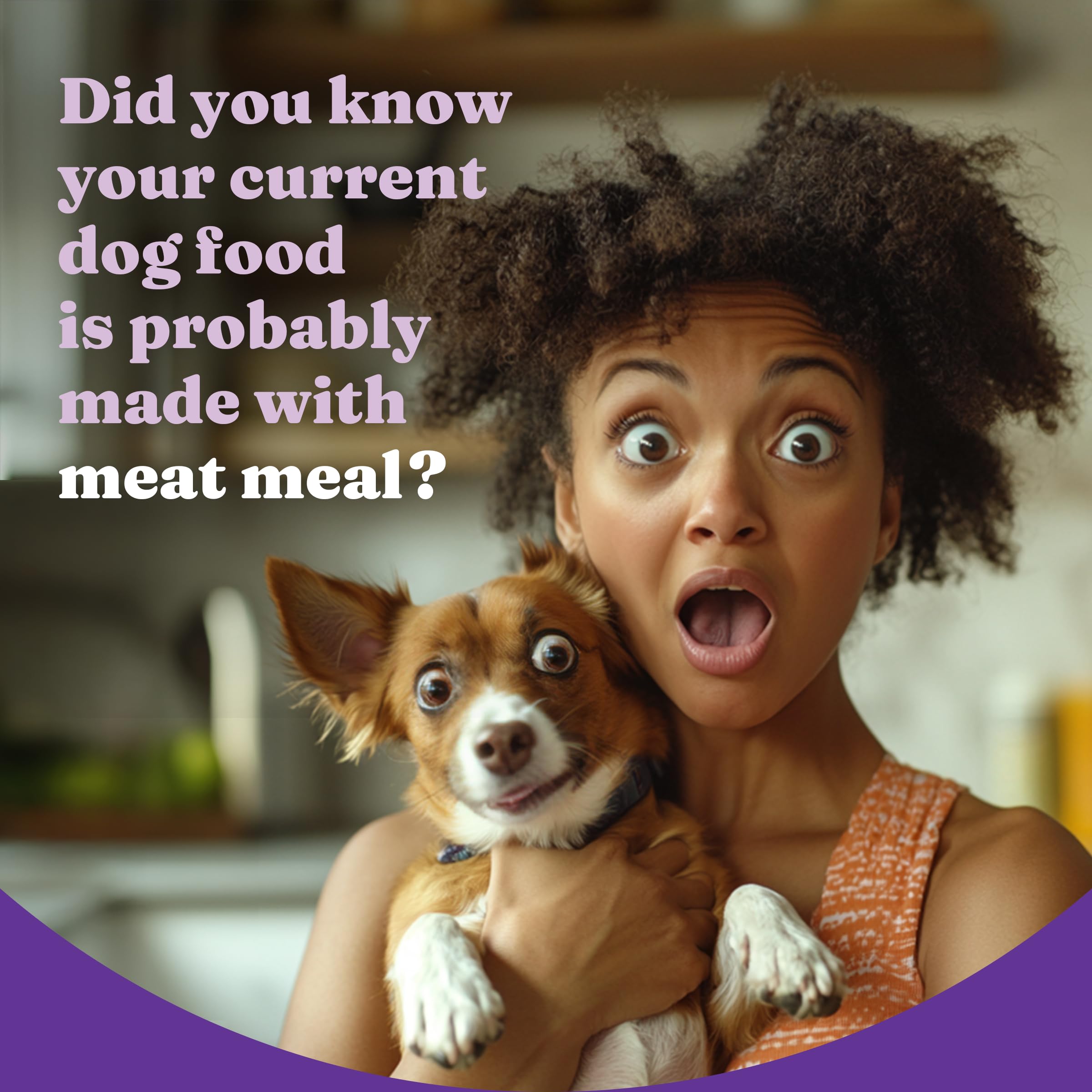 Foto 4 pulgar | Alimento Para Perros Halo Holistic, Arroz Integral Con Pollo Sin Jaula, 1,6 Kg - Venta Internacional.