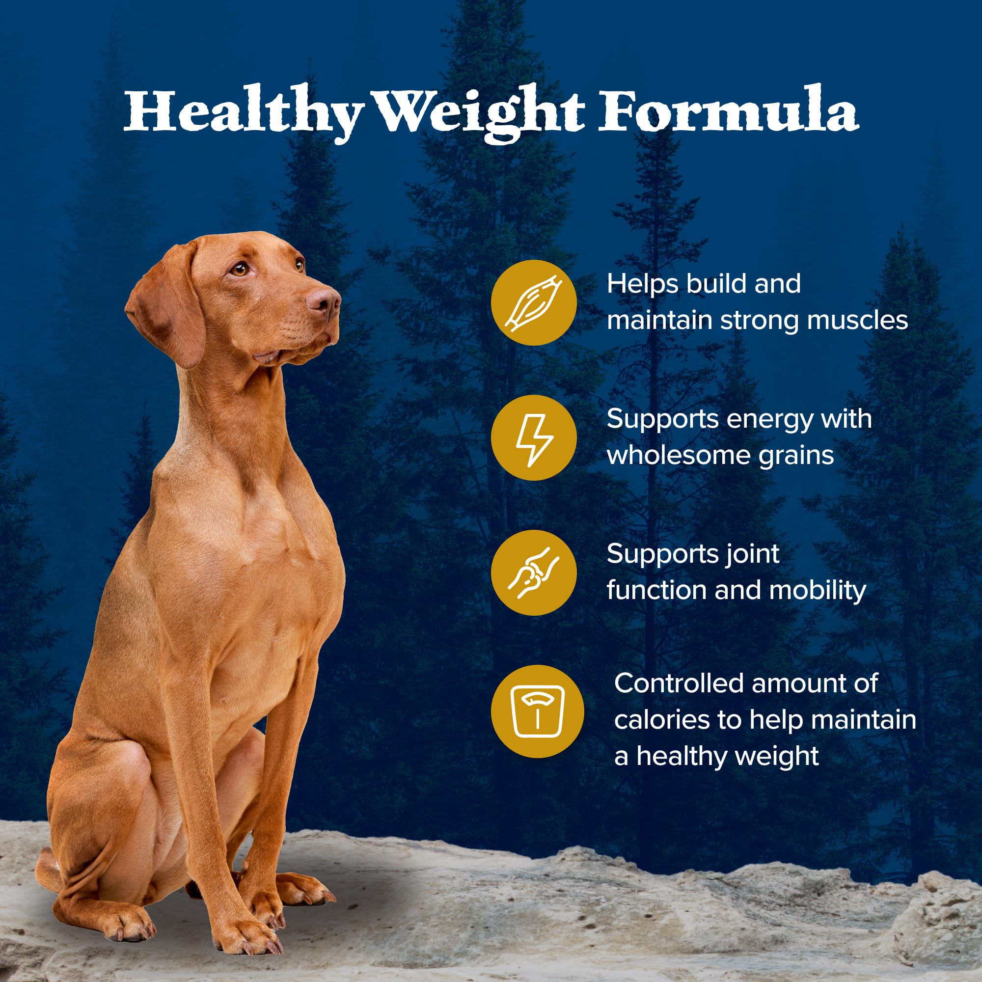 Foto 5 pulgar | Alimento Para Perros Blue Buffalo Wilderness Adult Control De Peso, 11 Kg - Venta Internacional.