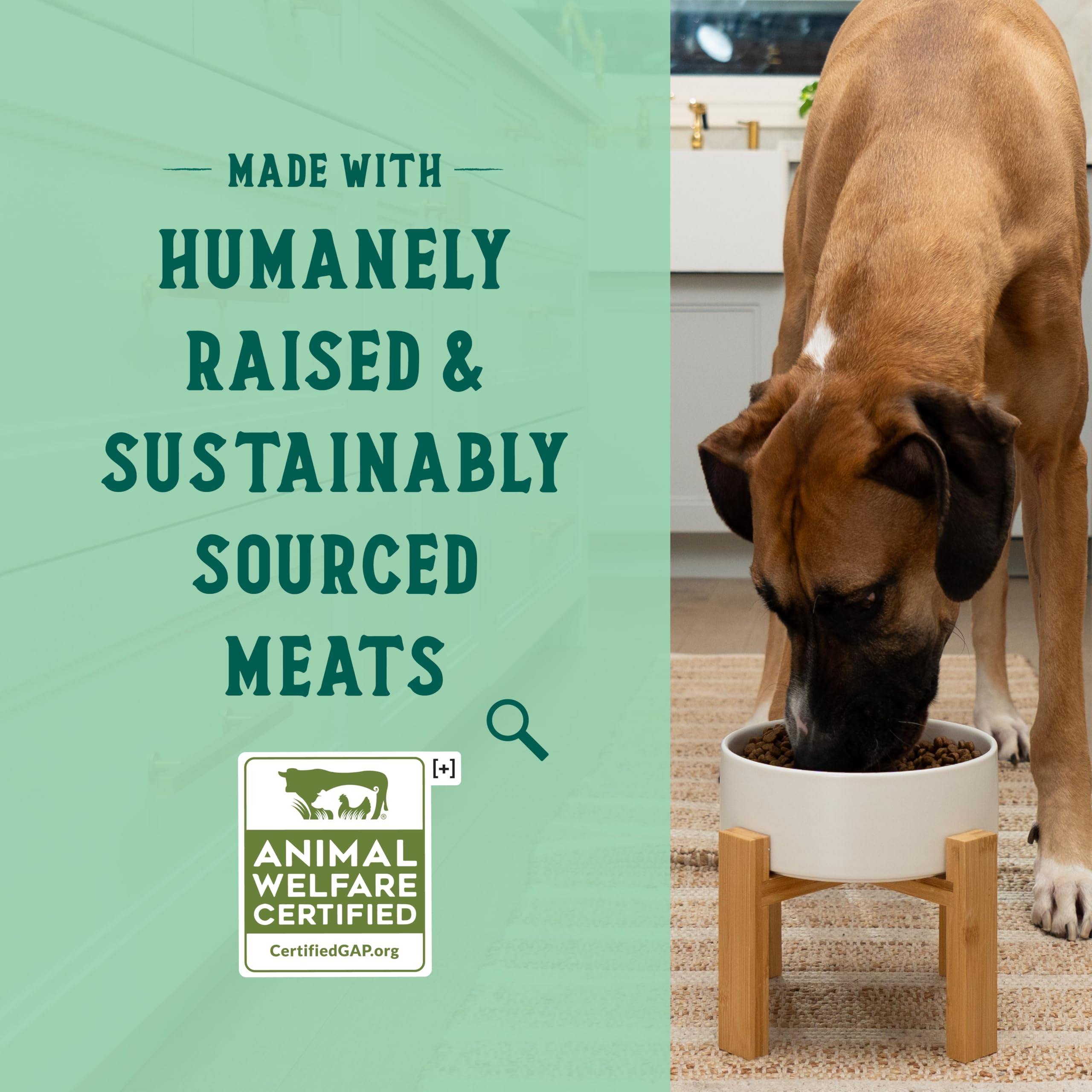 Foto 4 | Alimento Seco Para Perros Open Farm Goodbowl Harvest Chicken, 10 Kg - Venta Internacional.
