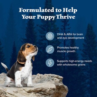 Foto 5 | Alimento Seco Blue Buffalo Wilderness Rico En Proteínas Para Cachorros - Venta Internacional.