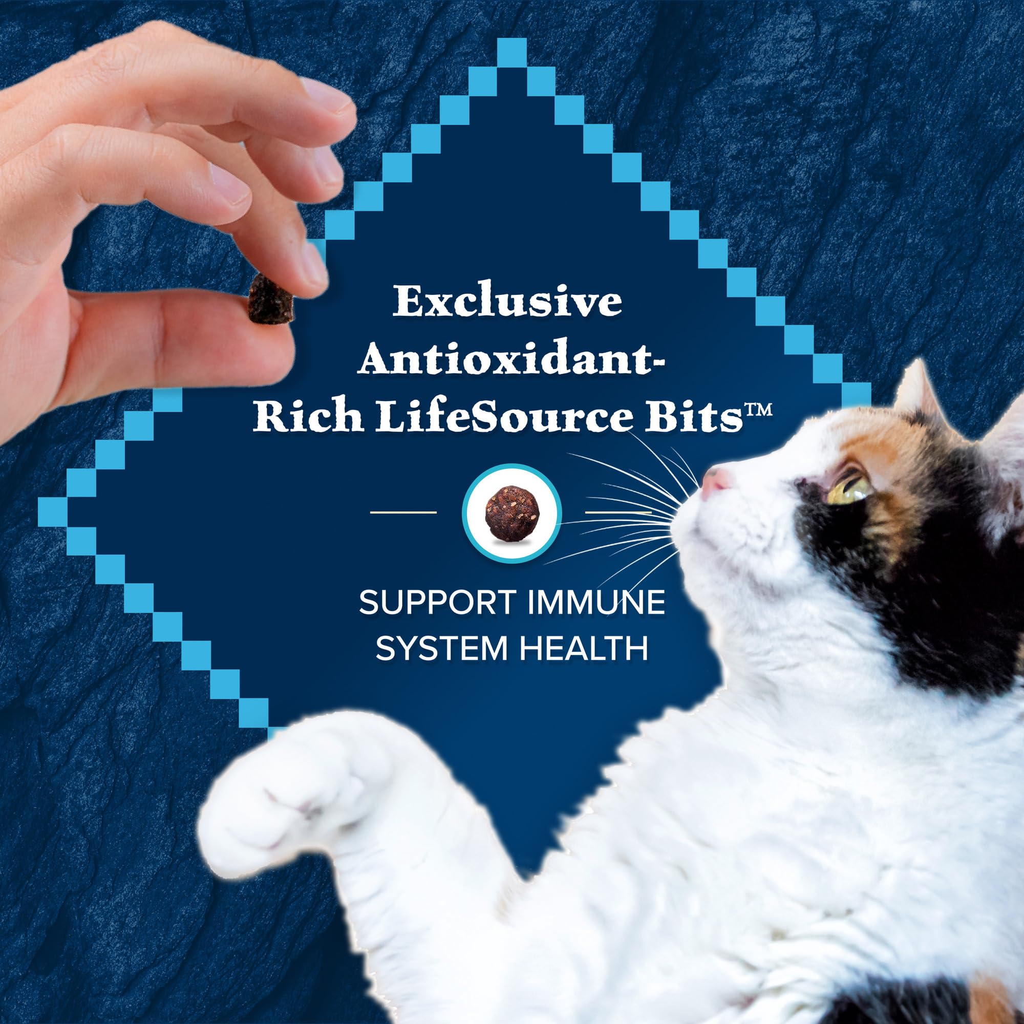 Foto 8 pulgar | Alimento Seco Blue Buffalo Wilderness Rico En Proteínas Para Gatos Adultos - Venta Internacional.